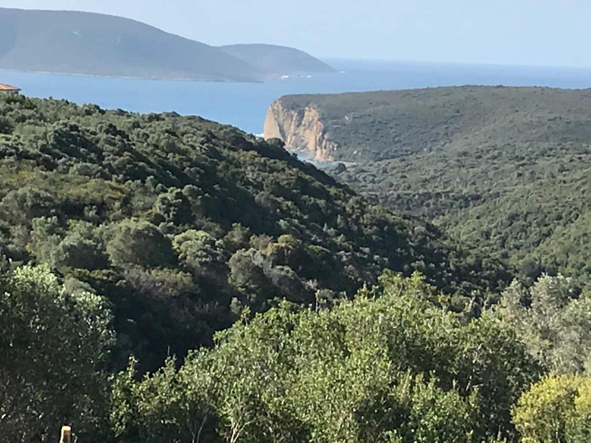 Luxurious Villa In Peloponnese With Swimming Pool Kamária Kültér fotó