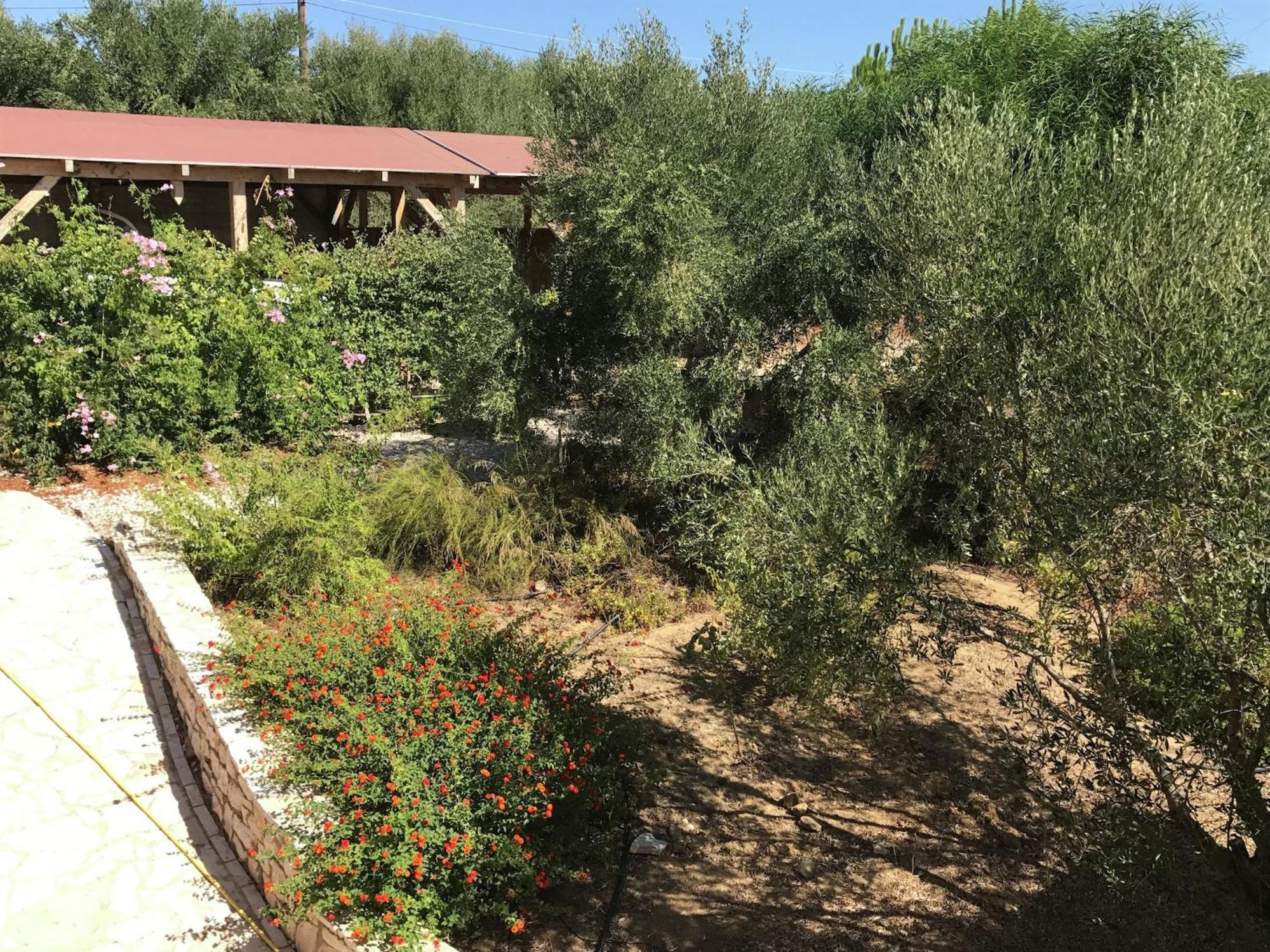 Luxurious Villa In Peloponnese With Swimming Pool Kamária Kültér fotó